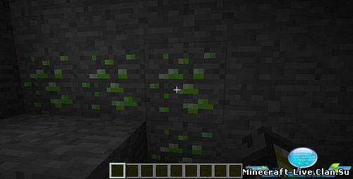 [1.2.5]RandomXP