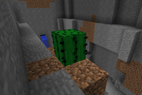 [1.2.5] Cactus can only grow on dirt mod