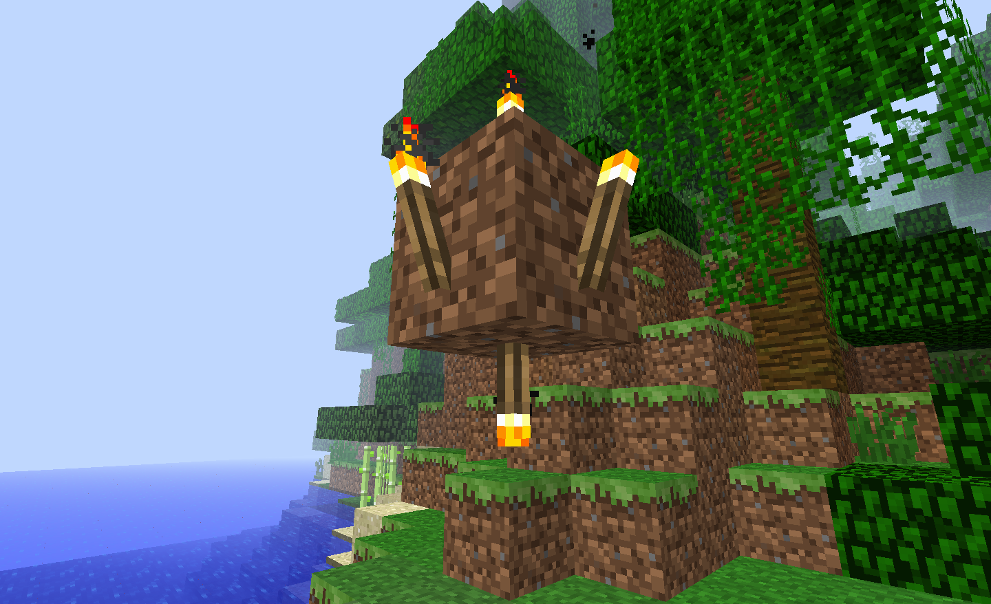 Upside Down Torches [1.3.1]