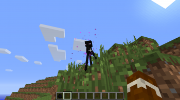 Enderman Block [1.3.1]