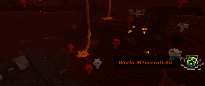 Netherlive [1.3.2]